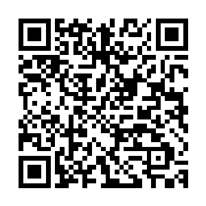 大家会再次将视线聚集到自己这个立志做全民偶像的男人身上来二维码生成