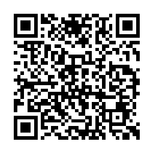 大家共同创造无限精彩无比绚烂超级惊险刺激的二维码生成