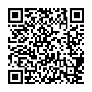 大家再把他引诱到预设阵地上干净彻底的处理掉二维码生成