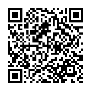 大家加加班将老苏一组做出来的牛视紫红质蛋白用掉二维码生成