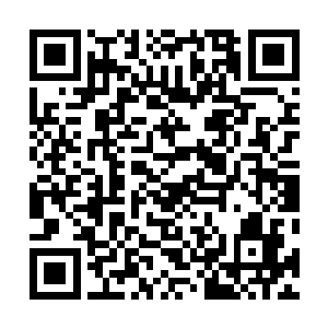 大家又纷纷假装不经意的看向了末尾坐着的奥德院长身上二维码生成