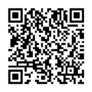 大家发送男主或者林烽二字到梧桐火的微信公众号即可二维码生成