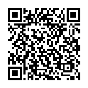 大家只看到扮演侍女的关灿灿像是突然重心不稳似的二维码生成