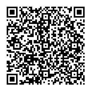 大家可以想象……两名兔兔星人的屎大概是个什么尺寸……而遭到这种尺寸的排泄物攻击的法官二维码生成