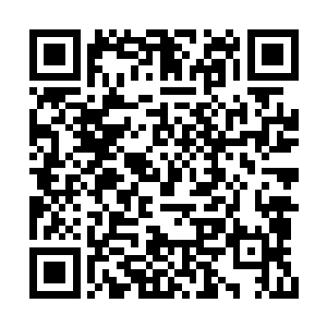 大家可以看看第一批消费者对于罗德世纪的反馈二维码生成