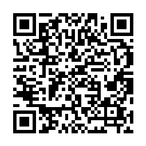 大家可否攒一下好让甲鱼知道如果上架了能有多少订阅呢二维码生成