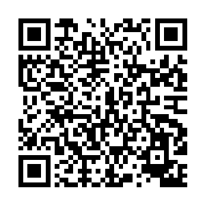 大家多多关注我的微信号wuthu每多一百关注就加一更哦二维码生成