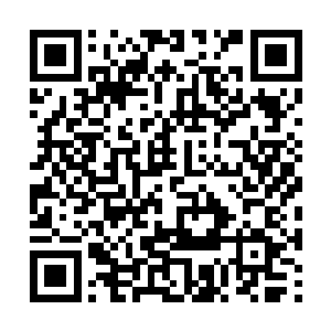 大家对于这些股份都是表现出来了势在必得的架势二维码生成