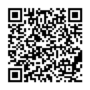 大家就在那里正儿八经地围绕着王靖露需要去唱歌聊了起来二维码生成