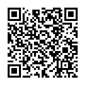 大家就看到知客领着几个尼姑一盆一盆的往外面端菜二维码生成