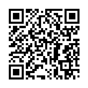 大家就能跟按下暂停键一样全部一起住手二维码生成