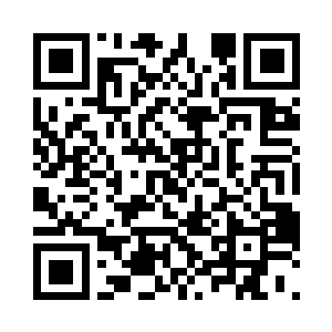 大家就踏上了这条通往原始森林的道路二维码生成