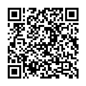 大家想不到任何理由梅斯菲尔德能够获得信前辈的青睐二维码生成