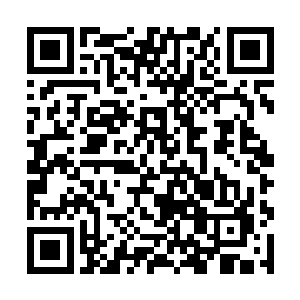 大家想要看到这个新英雄赛场估计要等到下个版本了二维码生成