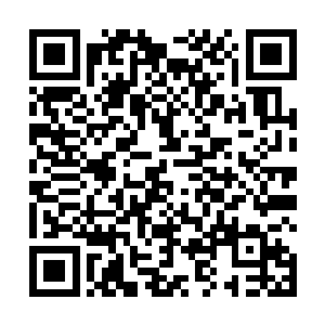 大家是不是很希望马上让你们的小兔也注射我的特效药二维码生成