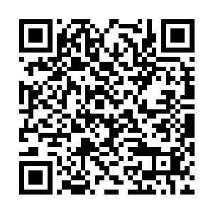 大家有意无意的将目光放在了东方卫视的陈亮身上二维码生成