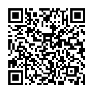 大家的心里都着急着到风凌子口中的那片绿洲去看看二维码生成