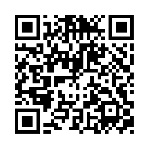 大家的目标都在两个小家伙的身上面二维码生成