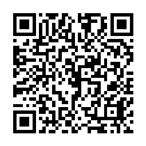 大家看到的是年轻球员初生牛犊不怕虎的气势和极强的自信二维码生成