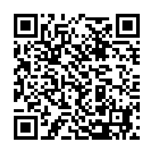 大家看向李菁华的眼中有羡慕有幸灾乐祸也有同情二维码生成