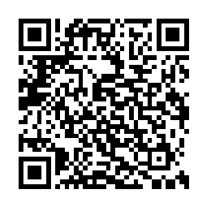 大家立刻就注意到十五的左手上新添了一枚戒指二维码生成