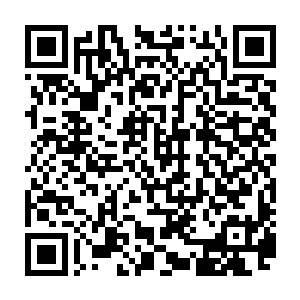 大家纷纷通知自己的亲朋好友们赶紧打开电视收看芝安电视台的新闻专访二维码生成