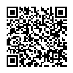 大家这也不是第一次进入远古修士遗迹之地探秘了二维码生成