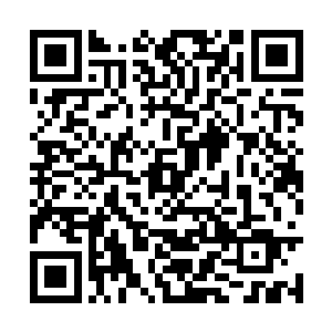 大家都会在社会的动态平衡中做出自己应有的贡献二维码生成