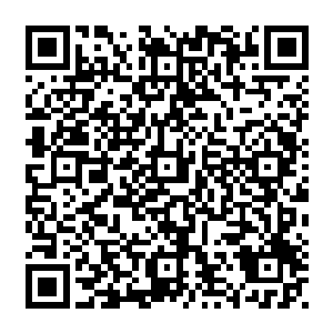 大家都在猜测究竟是什么人有这么大本事能把奸细安插到老板娘的身边成为她的亲信二维码生成