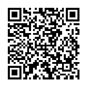 大家都太好奇楚枫离开祖武天河这段时间的经历了二维码生成