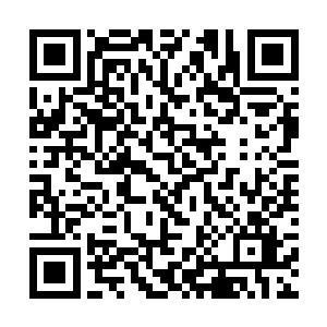 大家都开始为这真龙到底出现后会发生什么事而震惊二维码生成