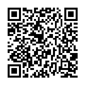 大家都很担心我去了之后会发生什么危险的事情二维码生成