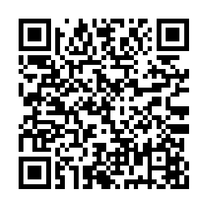 大家都是在一起生活和学习了一年多的同学朋友二维码生成