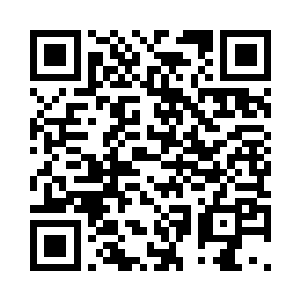 大家都用一种很神奇的目光看着苏落二维码生成