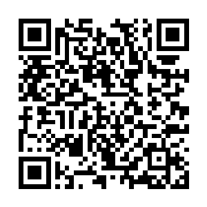 大家都相信荣光一定可以带领拜仁慕尼黑拿到冠军二维码生成