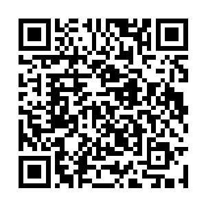 大家都看到她有些惊诧的看着酒店对外的落地玻璃二维码生成