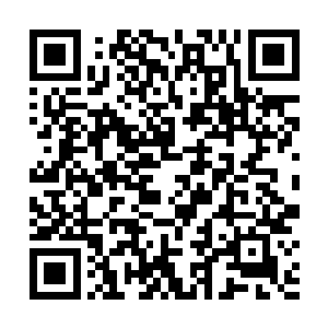 大家都知道不过是杨晨为了融入主流玄学界找的个幌子二维码生成