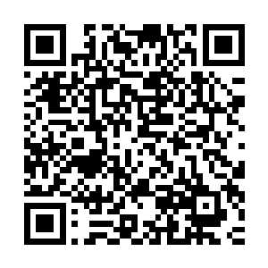 大家都纷纷感慨着自己在反应过来两个小家伙的反击之后的感受二维码生成