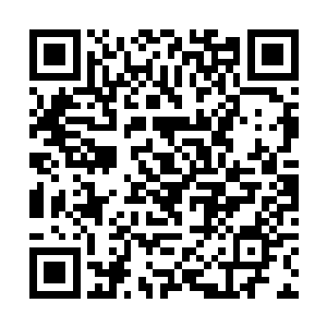 大富贵方面第一个出战的是他们真正的厨师长朴全明二维码生成