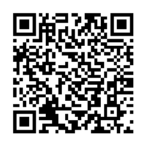 大将军和子树界主快速地传音给基层军队的军团长们二维码生成