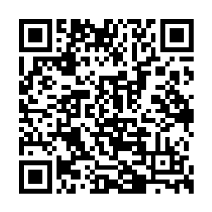 大小姐又何必从泰和这么远的地方把人找回来呢二维码生成