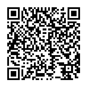 大小姐慌乱而惊恐的眼神似在这一抹笑容下得到了难以言喻的安抚二维码生成