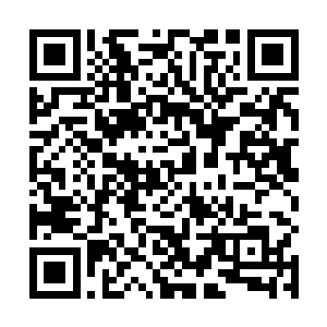 大小姐有条不紊地吩咐那些丫头婆子帮受伤的丫头清洗二维码生成