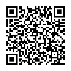 大小相仿的鹅卵石铺成的石径小道让人踩上去十分的舒服二维码生成