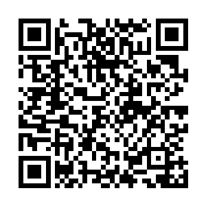 大屏幕的短片一一向观众们介绍今年最佳男配角的提名者们二维码生成