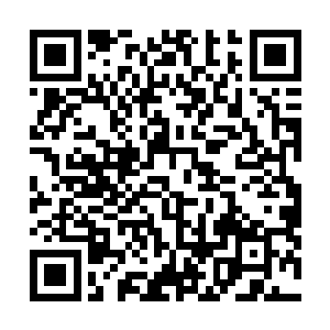 大师兄并没有因为叶然所暴露出来的血脉之力而感到讶异二维码生成