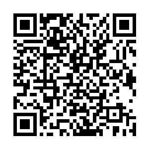 大帝级功法的无间鹏王经再次给张铁带来了一次强化的机会二维码生成