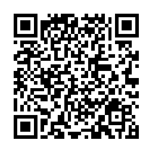 大幕僚先生直接吩咐圆周赶紧煮东西送进去给闻春意吃二维码生成