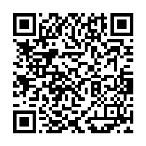 大年神此时身上的那几张脸看起来也是被他彻底控制二维码生成