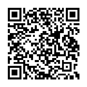 大恶大邪之辈……就是我们一会去挑选的道奴吗二维码生成